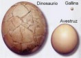 /album/dinosaurios/images-5-jpg/